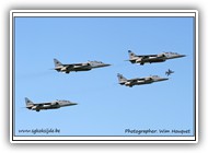 Jaguar formation_3